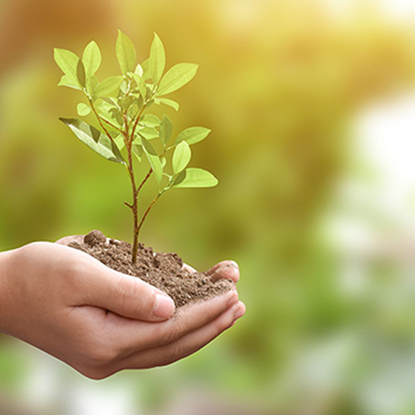 Çevre Yönetimi Bilgilendirme Eğitimi