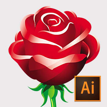Adobe Illustrator ile Gelişmiş Vektorel Çizimler