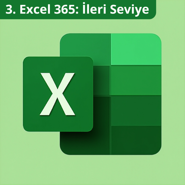 Excel 365: İleri Seviye
