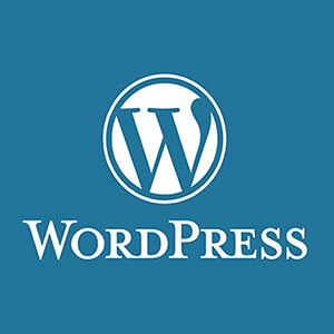 WordPress Temelleri ve Başlangıç Rehberi
